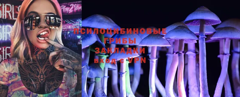 Галлюциногенные грибы MAGIC MUSHROOMS  купить   Кировск 